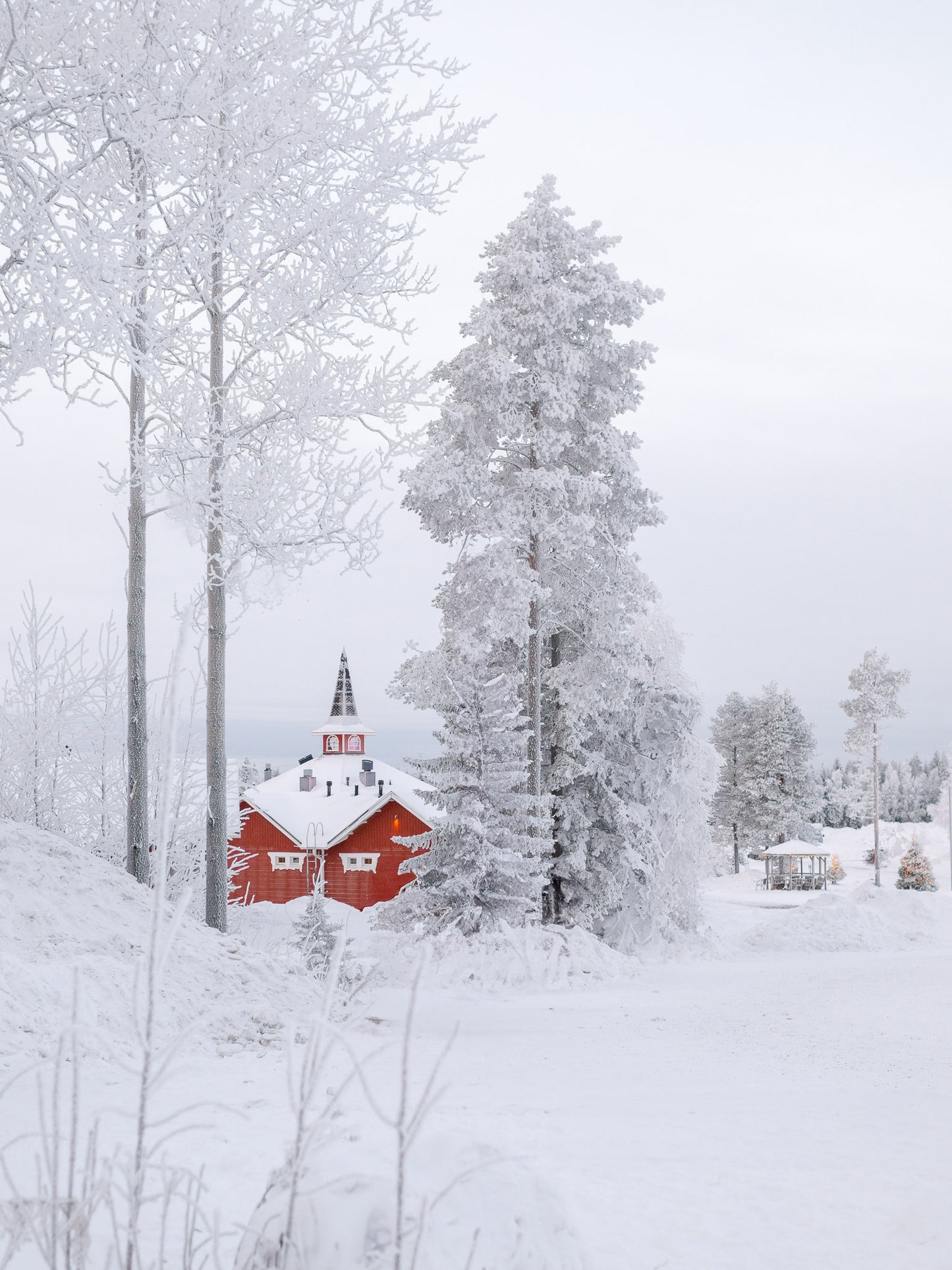 Crimson Haven in White