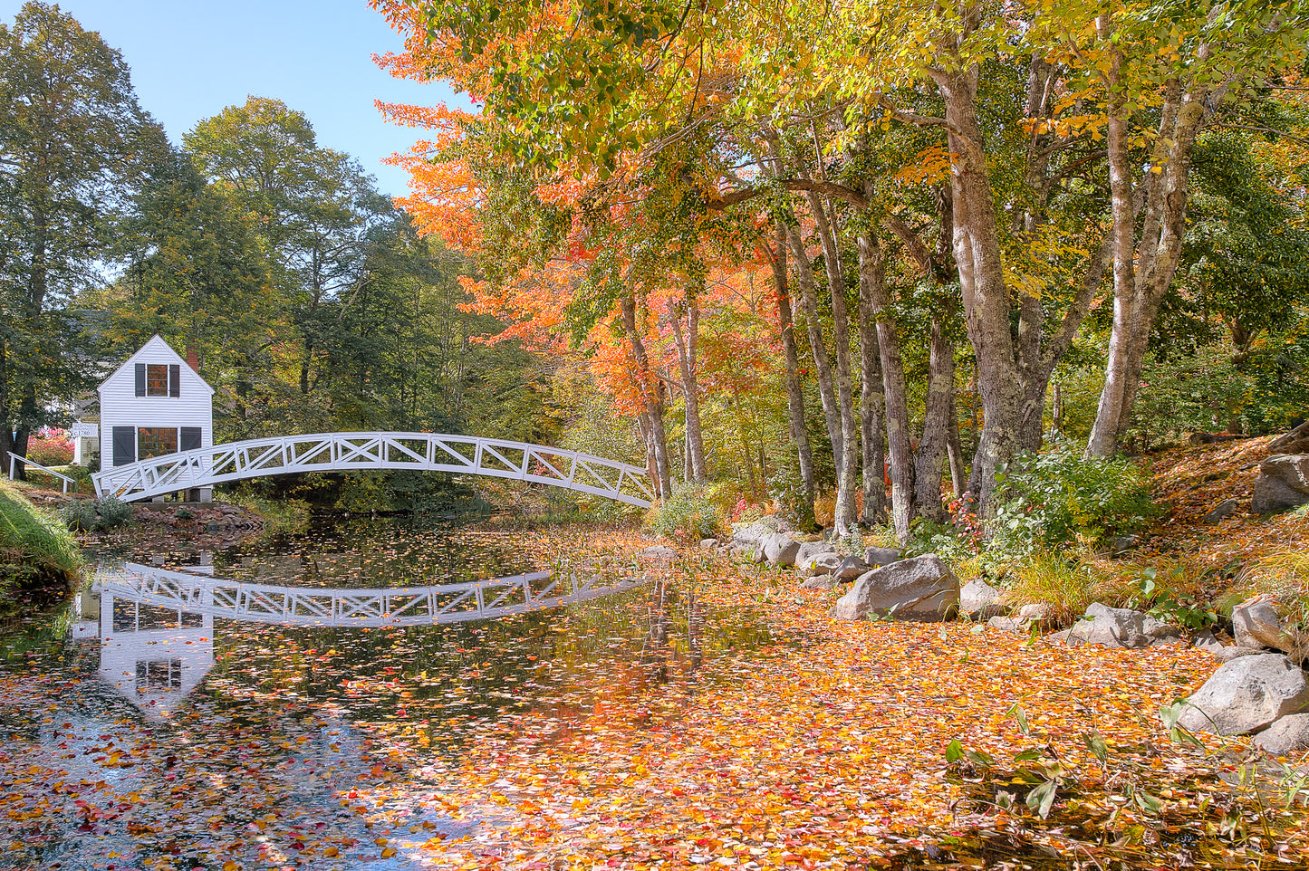 Fall in Maine