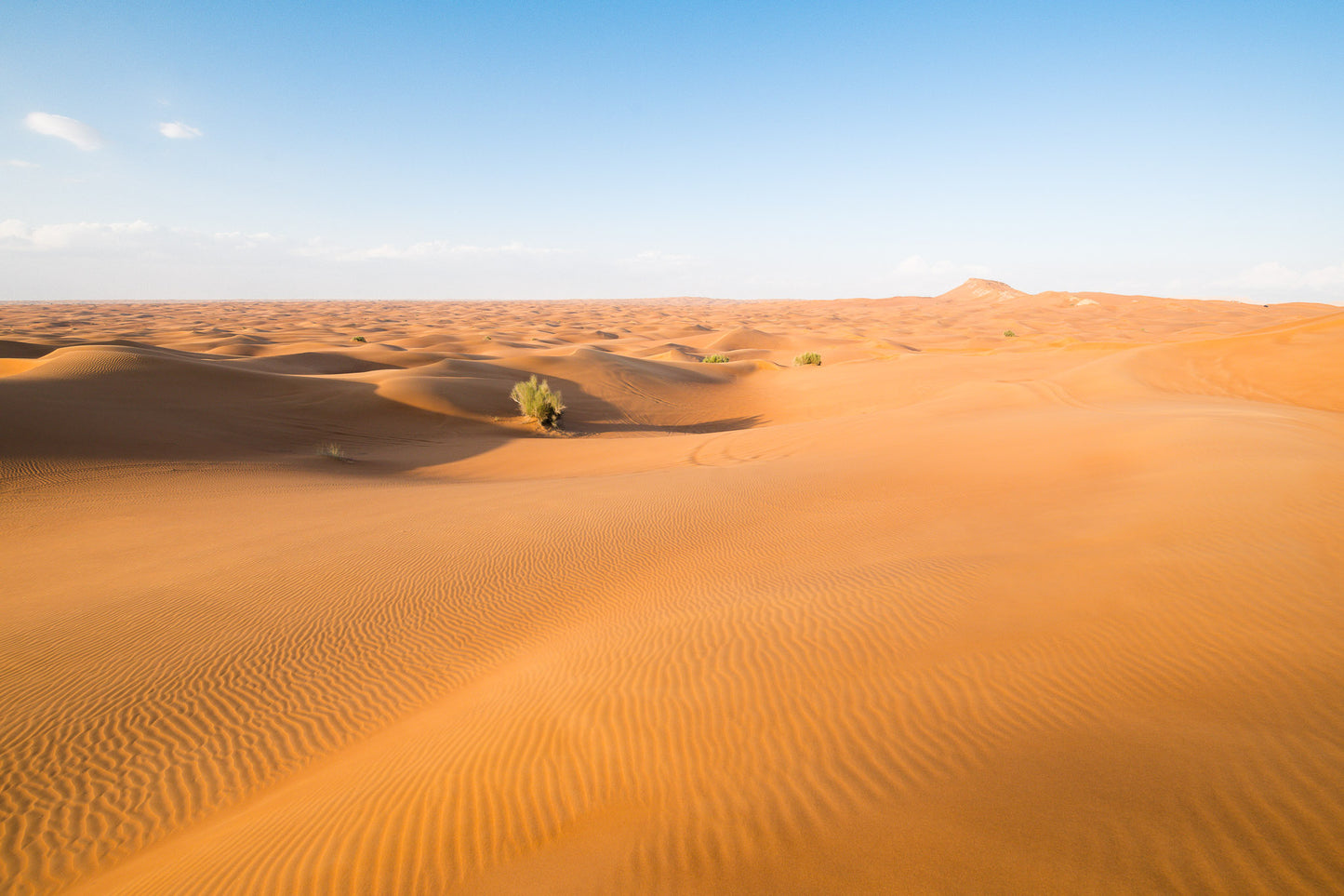 Red Dunes Safari Desert Dubai UAE